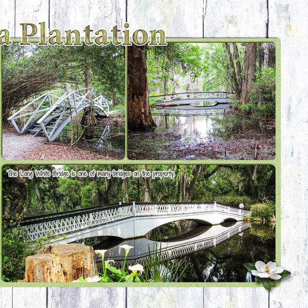 Bridges of Magnolia Plantation, right side