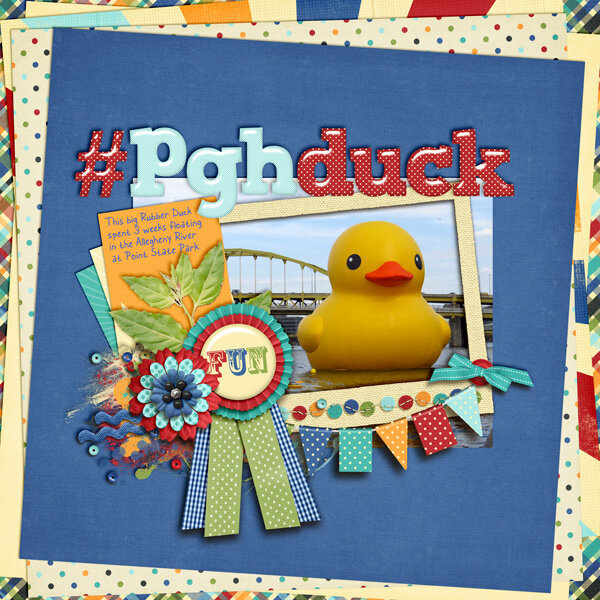 #PGHDuck Project