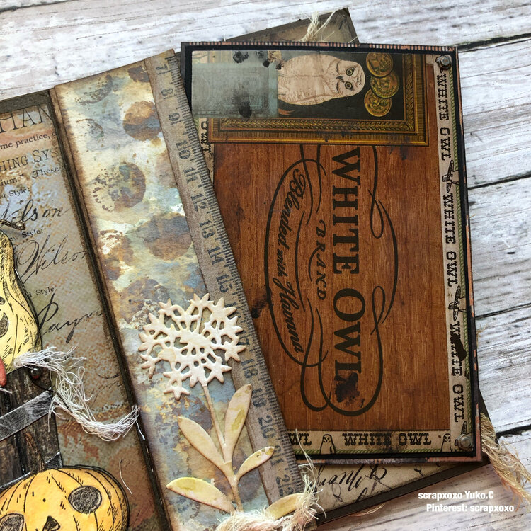 Timholtz autumn book