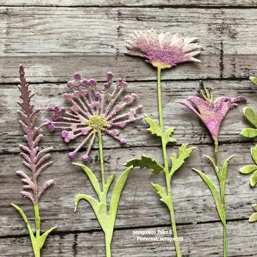 Wildflowers