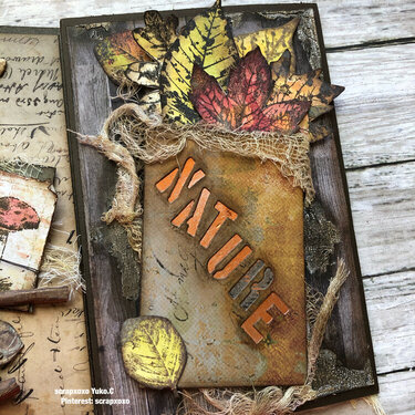 Timholtz autumn book