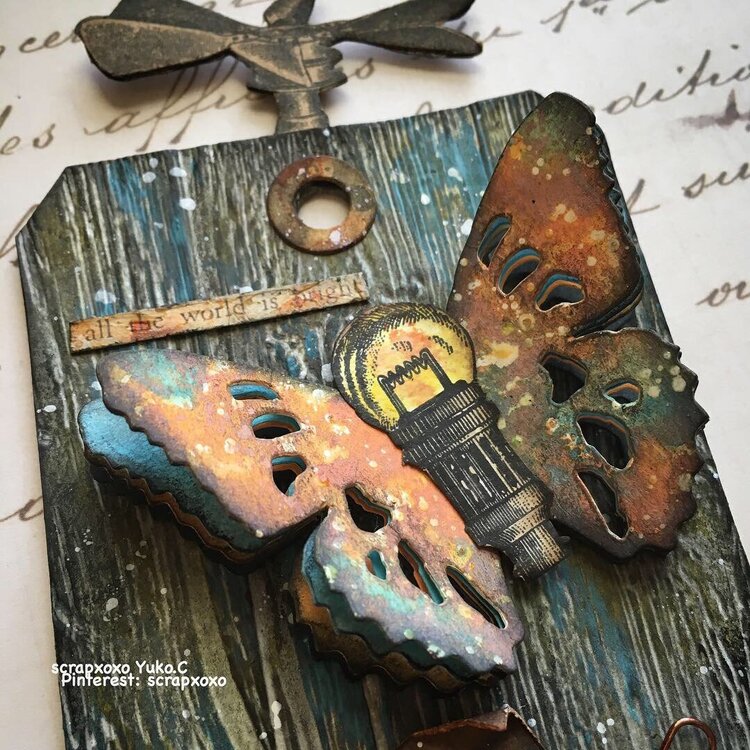 Timholtz tattered butterfly