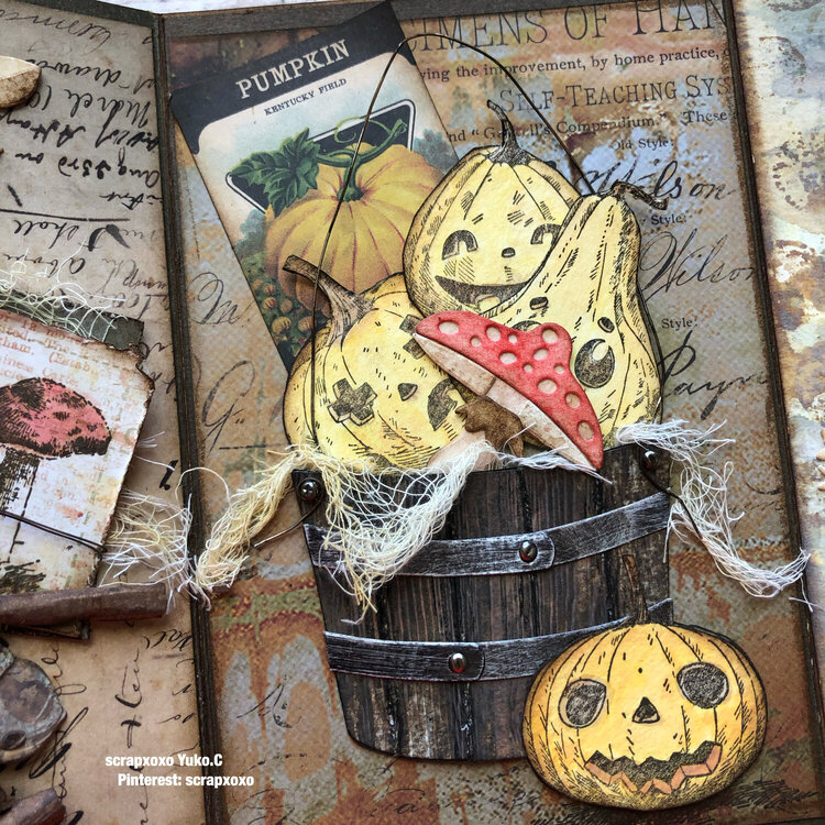 Timholtz autumn book