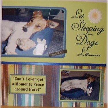 &quot;Let  Sleeping Dogs Lie&quot;