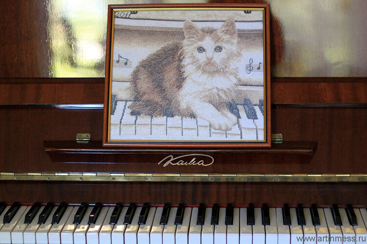 kitten on the piano