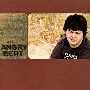 Angry Bert