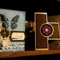 Butterfly and Tri-fold