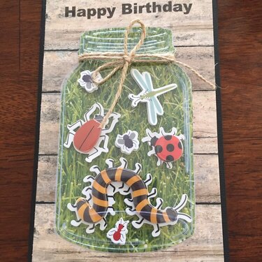 Insect Birthday Card