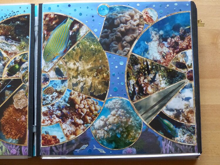 Amazing Colourful World under Water on Seychelles Page 2 right