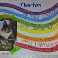 My Cat Newton is a Rainbow