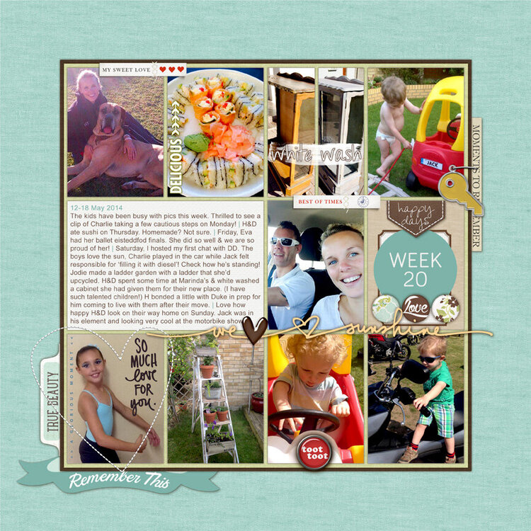 Project Life Week 20