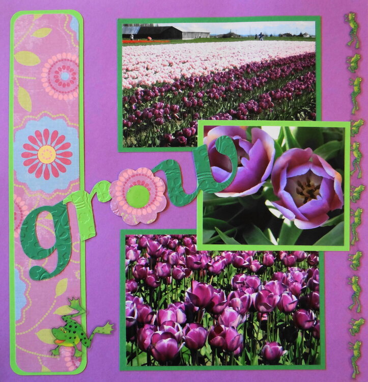 Tulip Festival - Purple - LHP