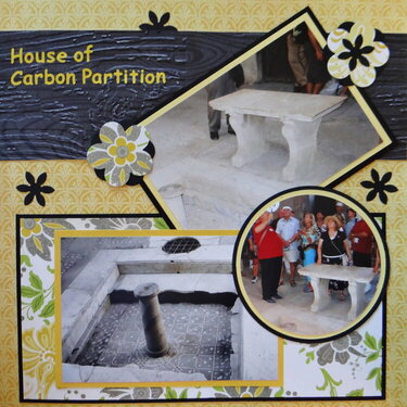 House of Carbon Partition RHP