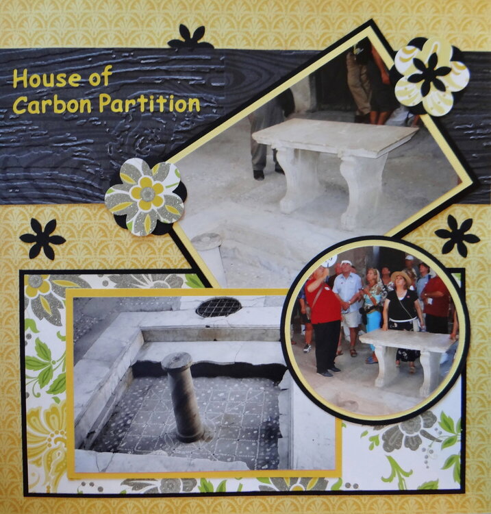 House of Carbon Partition RHP