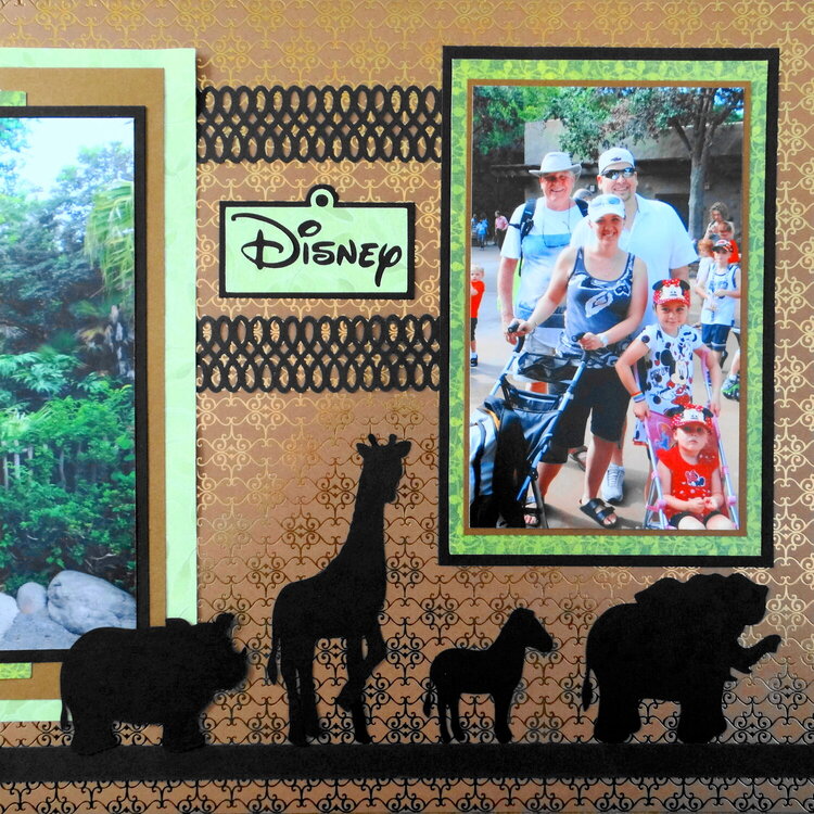 Disney Animal Kingdom - RHP