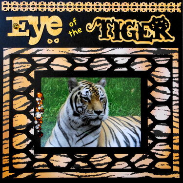 Eye of the Tiger - LHP