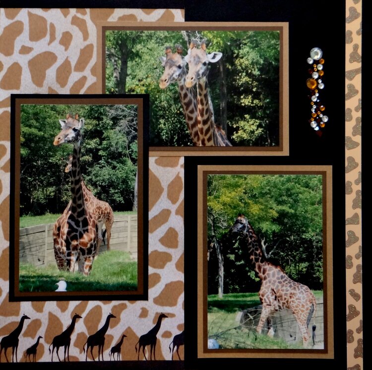 Giraffe - RHP