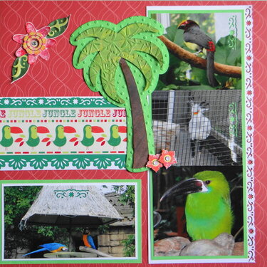 Tropical Birds - RHP