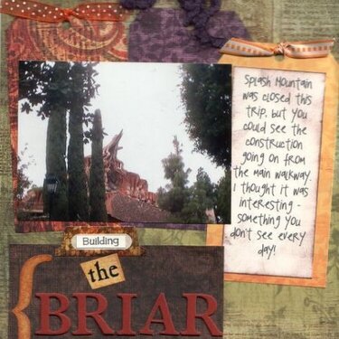 Building the Briar Patch