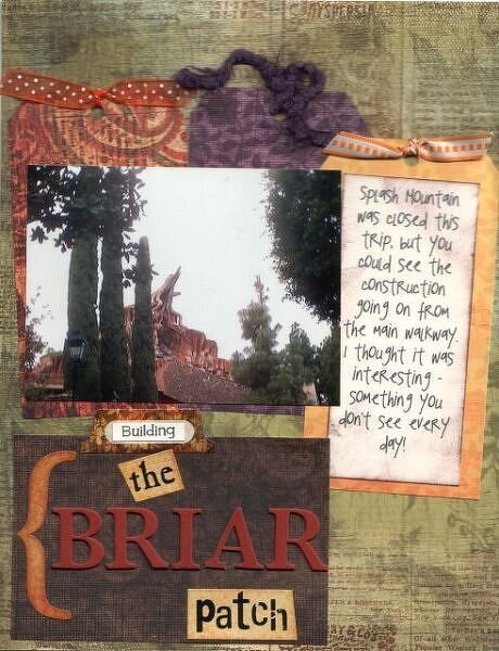 Building the Briar Patch