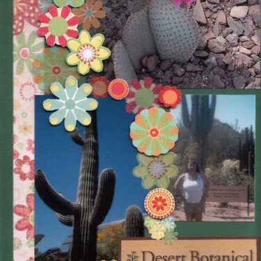 Desert Botanical GardenFast Track Feb 10 Challenge
