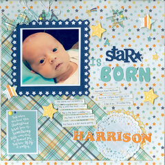 A Star is born grandson Harrison