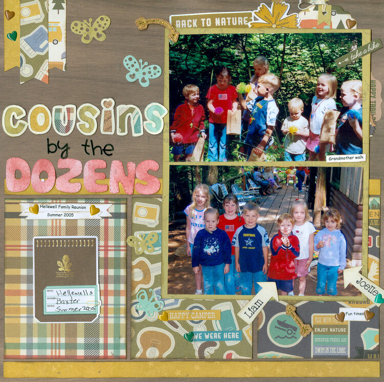 Cousins by the Dozens