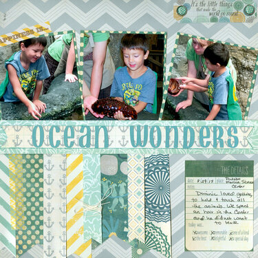 Ocean Wonders