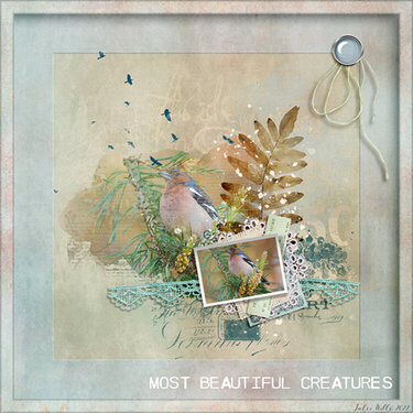 most beautiful creatures