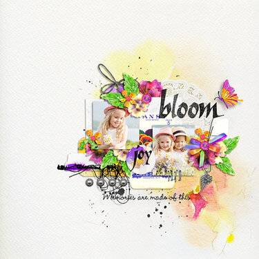 bloom