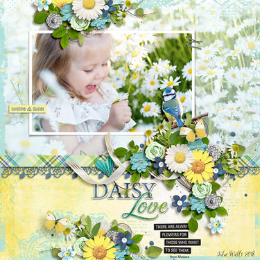 daisy love
