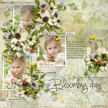 blooming day