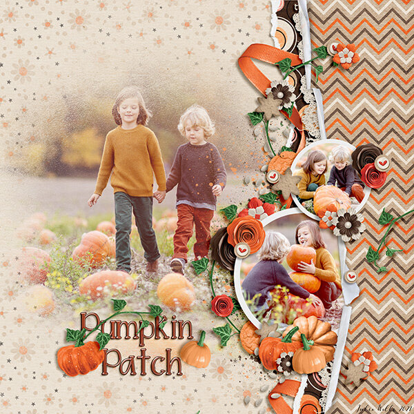 pumpkin patch