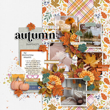 autumn snapshots