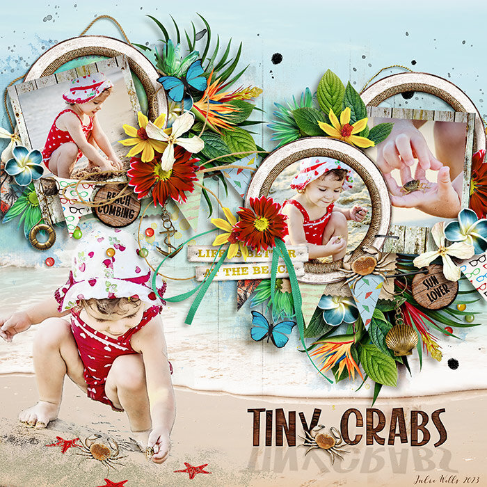 tiny crabs