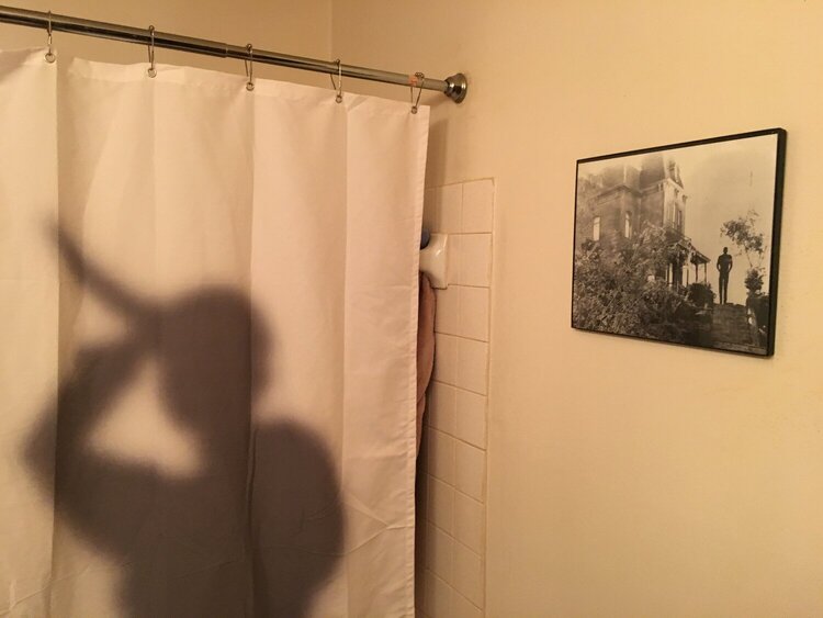 New Psycho Shower Curtain and old photo