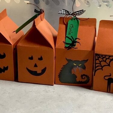 Pumpkin milk cartons