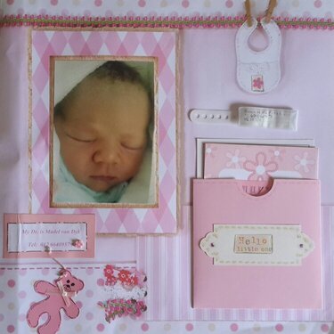 Baby Girl Birth Layout