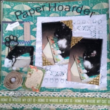 Paper Hoarder Cat