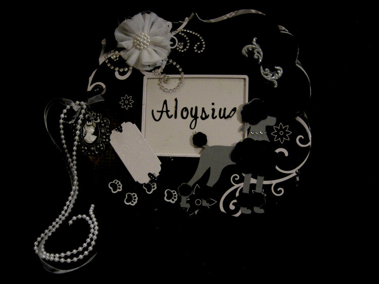 Aloysius the poodle cover 2