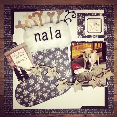 My Nala and her Christmas stocking....