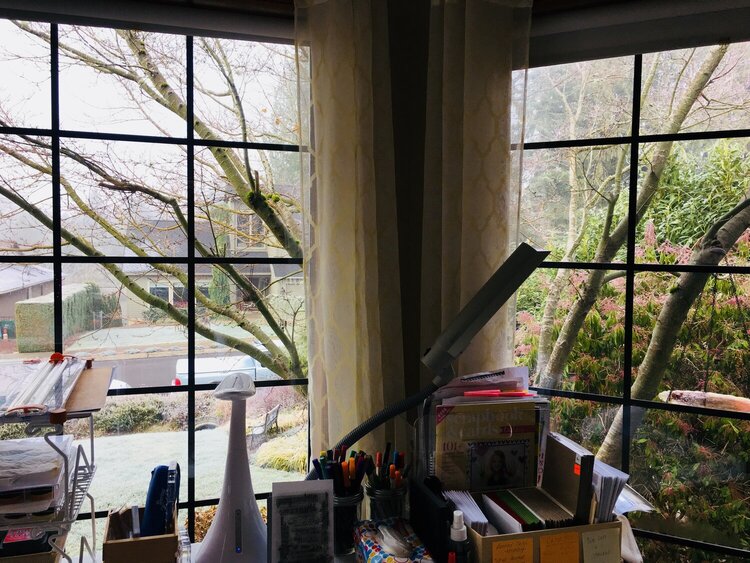 The best part about my room is the fantastic windows, this tree is so beautiful in all the seasons especially in fall....