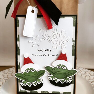 Christmas Frogs Gift Bag