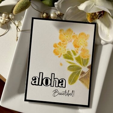 Aloha Beautiful 