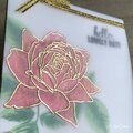 Christmas Rose Mini Card