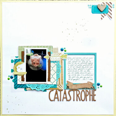 Catastrophe