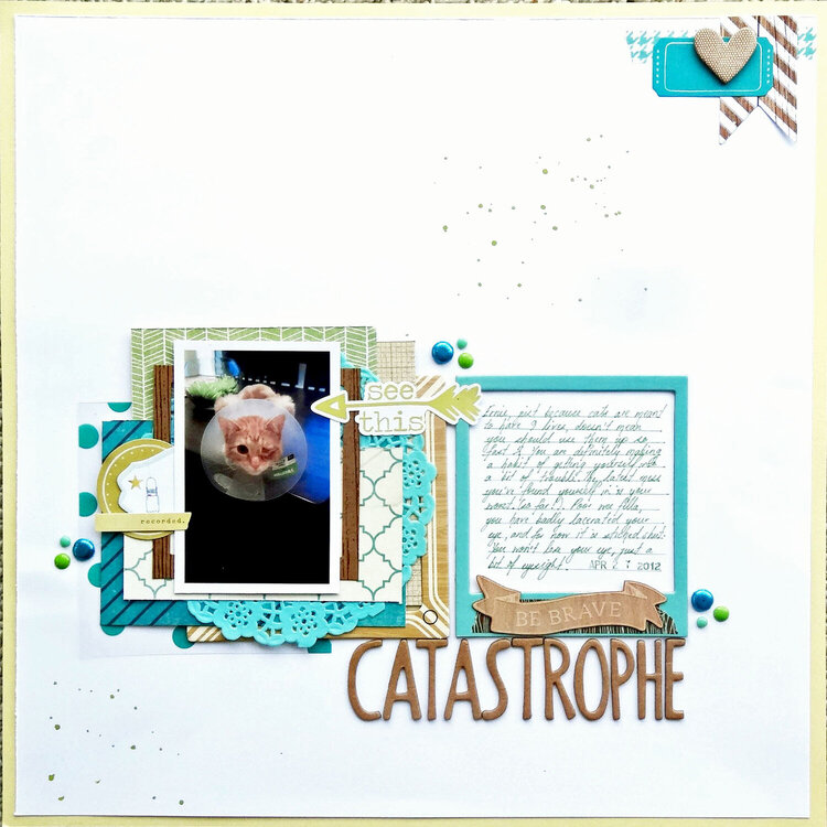 Catastrophe