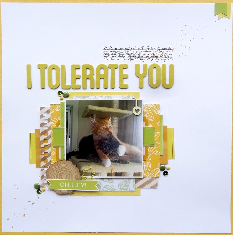 I Tolerate You