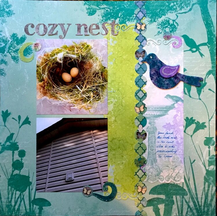 Cozy Nest