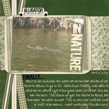::Alligator Found::